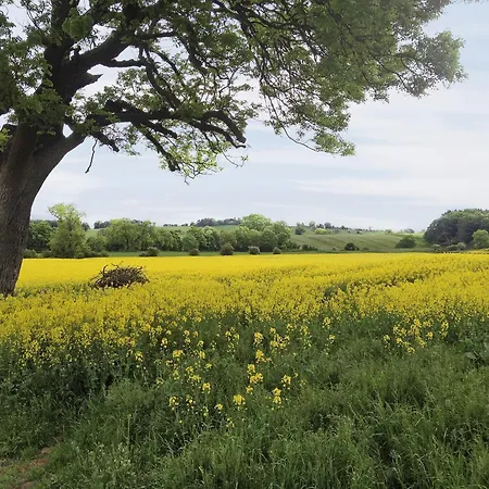 Nyaraló Sykelands *